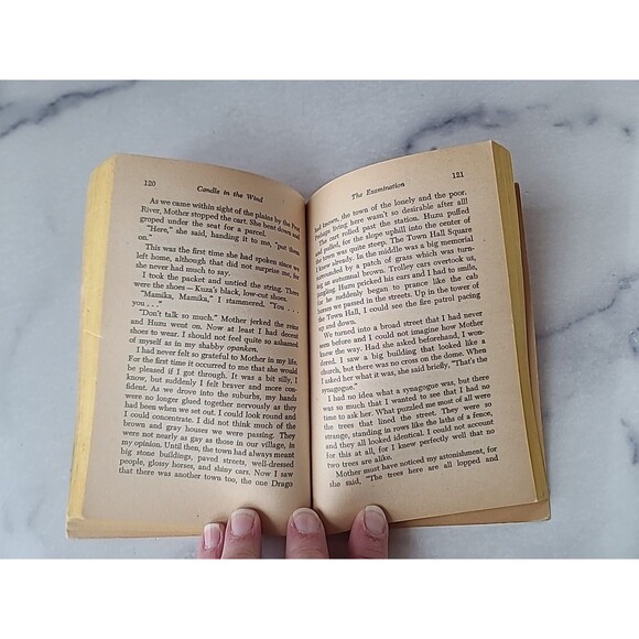 Candle In The Wind By Hertha Seuberlich Paperback - Picture 6 of 10